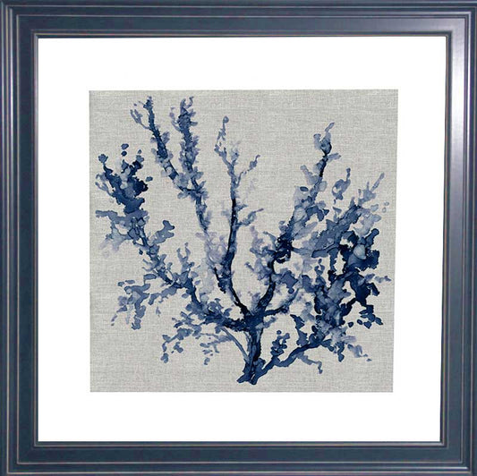 Blue Coral
