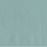 Challenger Spa (Hospital-Grade Vinyl)