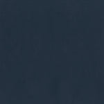 Challenger Midnight Blue (Hospital-Grade Vinyl)