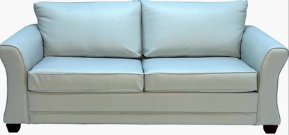 Commercial Grade Cozy Queen Sleeper 5 Year Warranty
