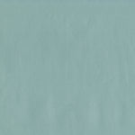 Challenger Spa (Hospital-Grade Vinyl)