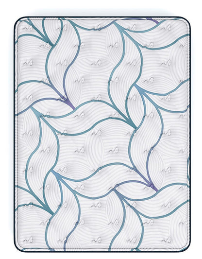 Limited Edition Plush 3.0 Queen Mattress