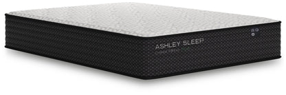 Limited Edition Plush  Mattress