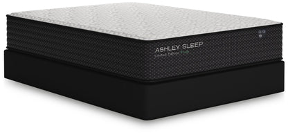 Limited Edition Plush  Mattress